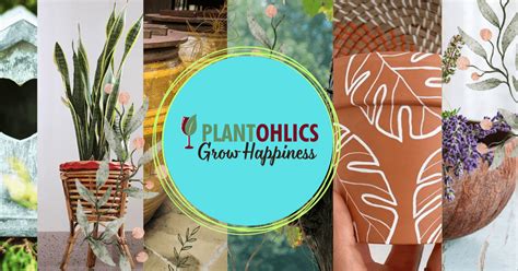 Outdoor Planters – Plantohlics