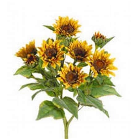 Allstate FBS456-YE 22 in. Yellow Sunflower Bush X9- Case of 4 FBS456-YE ...