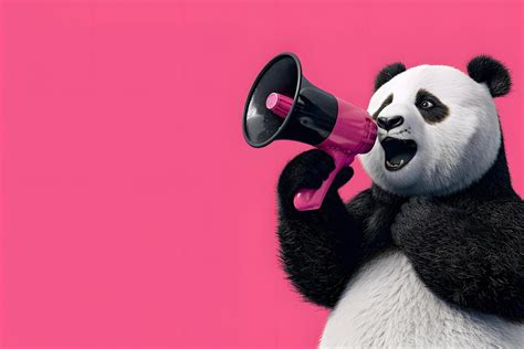 Image result for Panda Intro