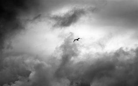 Download wallpaper 3840x2400 bird, wings, flight, clouds 4k ultra hd 16 ...