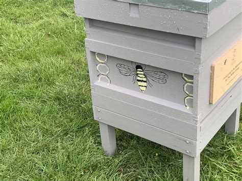 Bee the Change: Reflex's Buzz-worthy Beehive Sponsorship for World Bee Day! | Reflex Printed ...