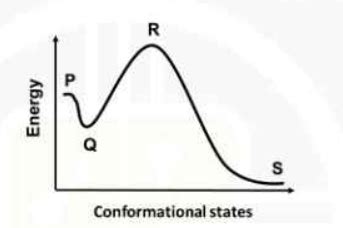 The following diagram represents energy states of different protein ...