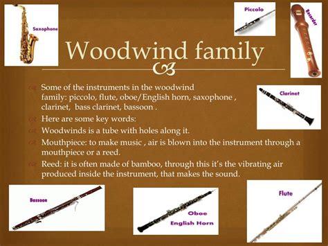 Orchestra Musical Instruments 的图像结果