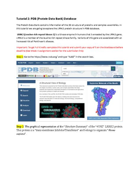 PDB Tutorial 的图像结果