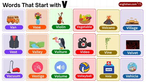 1215 Words That Start with V: A to Z List from Common to Rare