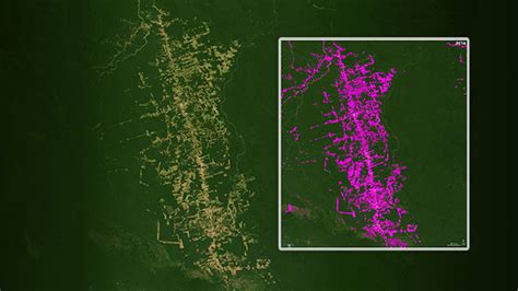 Learn MATLAB for Imaging 的图像结果
