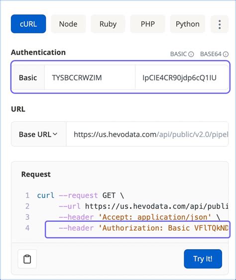 API Key Sample 的图像结果