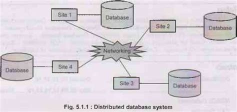Image result for Distributed Object Systems in Distributed Databases Diagram