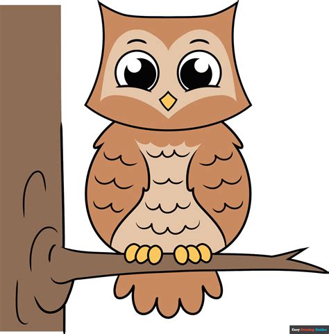 How To Draw A Cartoon Owl
