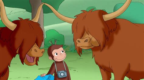 Curious George Wallpaper Hd