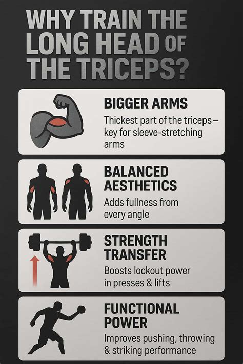 Best Long Head Tricep Exercises: 12 Moves for Size & Strength