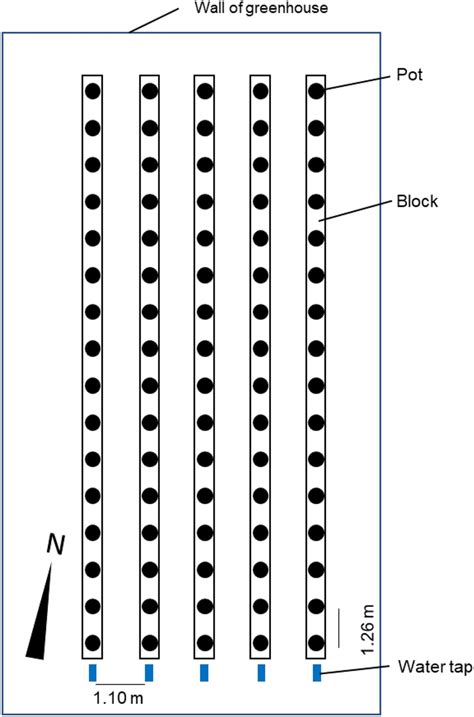 Block Design Experiment 的图像结果