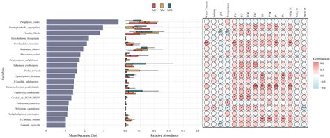 Shifts in Soil Fungal Community and Trophic Modes During Mangrove ...