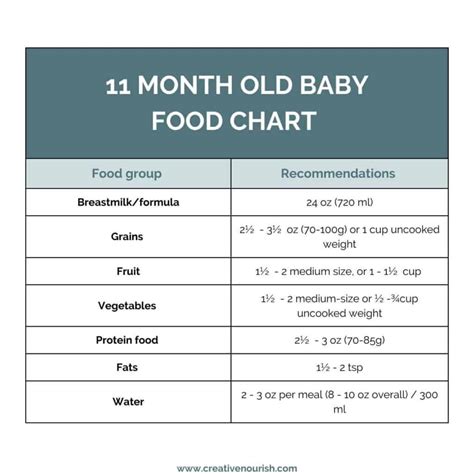 11 Month Old Meal Plan, Baby Food Ideas, Recipes and Schedule