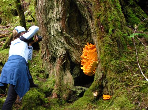 Eco Tours - Delaware Nature Society