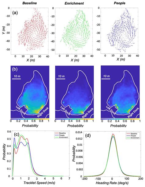 Investigation of Environmentally Dependent Movement of Bottlenose ...
