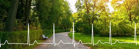 Ambulatory Monitoring Suite | GE HealthCare (India)