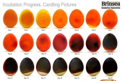 Image result for Generative Ai Courses