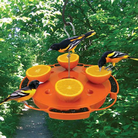 Ultimate Oriole Fruit, Jelly and Nectar Bird Feeder | PlowHearth