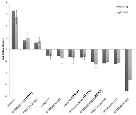 RNA-Seq Analysis of Gene Expression Changes Related to Delay of ...