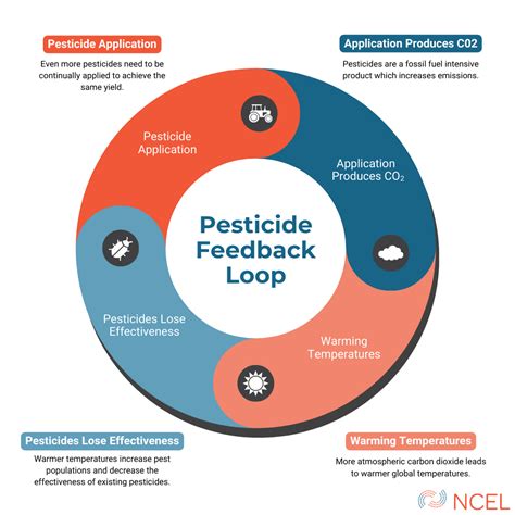 Image result for Negative Feedback Loop
