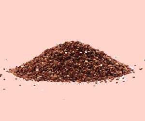 Jewel Farmer India’s Trusted Brand for Dry Fruits, Dates, Seeds & More ...