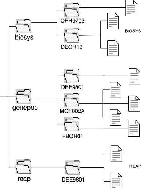Image result for Structure Genetics Software User Guide