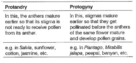 Protogyny and Protandry.