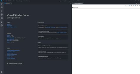 Image result for Vscode Python Interactive Window