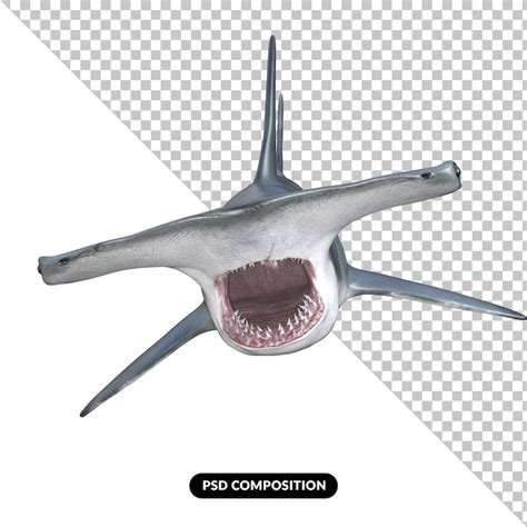 Shark eye PSD, High Quality Free PSD Templates for Download | Freepik