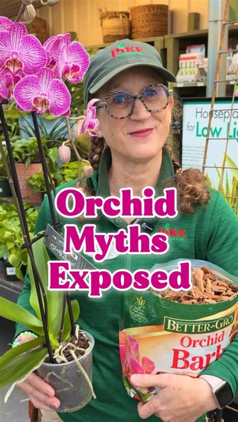 Pike Nurseries | Garden Experts | Orchid Myths Debunked! 🌿 Orchids have a reputation for being ...