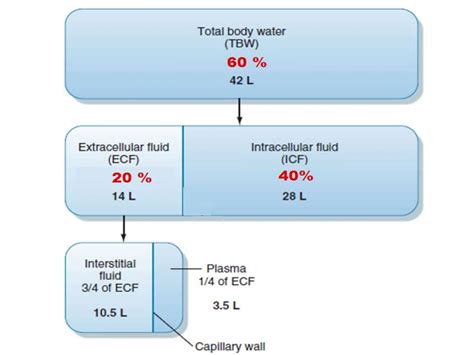 Image result for Classification Body Fluids
