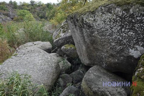 Лес-лабиринт и Арбузинский каньон: куда можно поехать в Николаевской ...