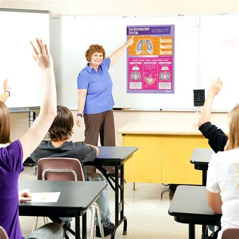 Daydream Education Laminated PE Posters: Respiratory System & Charts ...