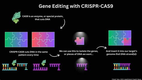 Rezultat imagine pentru CRISPR Explained