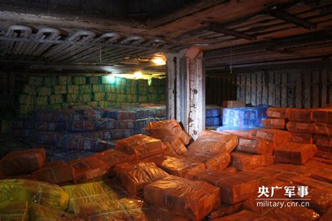 广东海警查获走私冻品千吨 案值八千万元_央广网