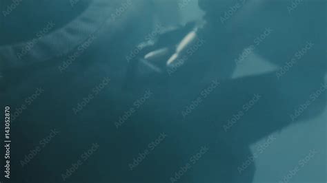 Image result for Magazine Loading Tips