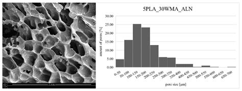 Dual Modification of Porous Ca-P/PLA Composites with APTES and ...