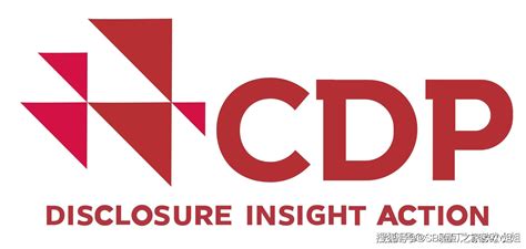 CDP Languages 的图像结果