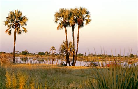 Image result for Adolf Namibia