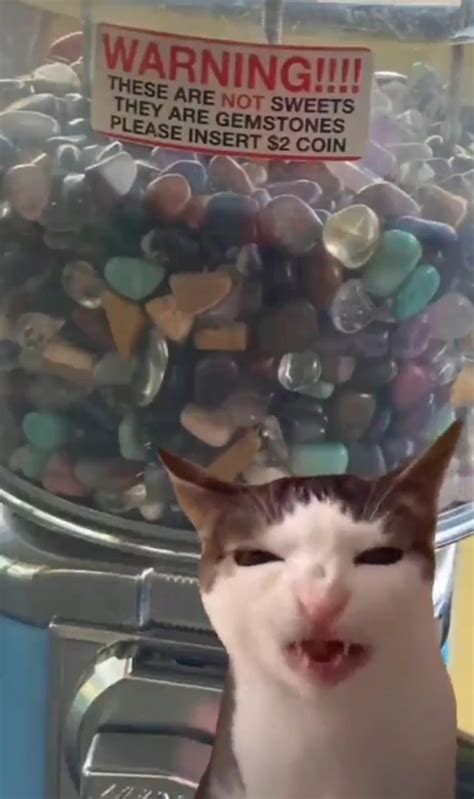 Welcome to simp city, population: me @transfrogwithcoolsocks - Tumblr Blog | Tumlook