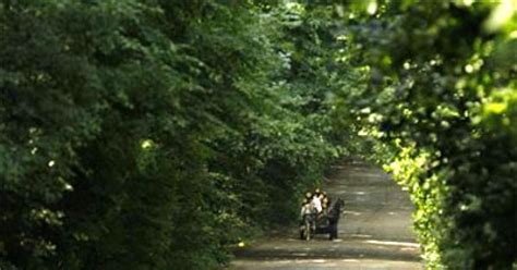 Green ministry backtracks on forest clearances after NGT orders ...