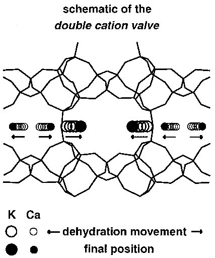 Image result for Multiple Cation Problem