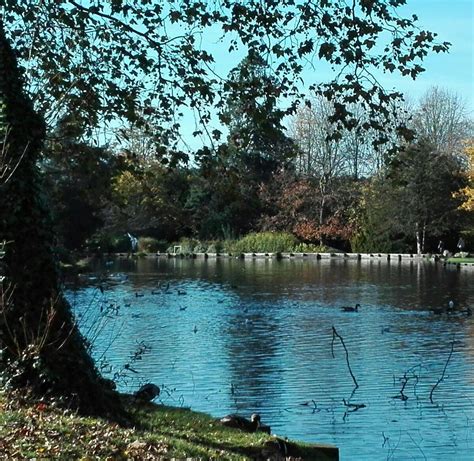 BEDDINGTON PARK (2025) All You Need to Know BEFORE You Go (with Photos ...