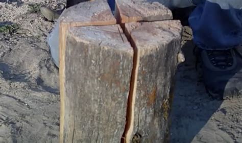 Image result for Using Paper Log Fire