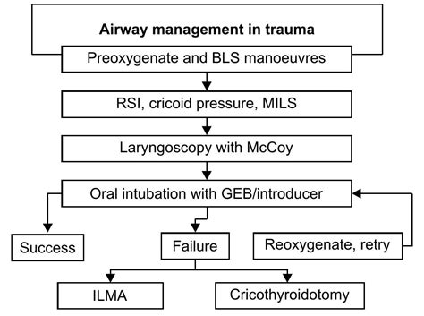 Image result for Rapid Sequence Intubation Algorithm