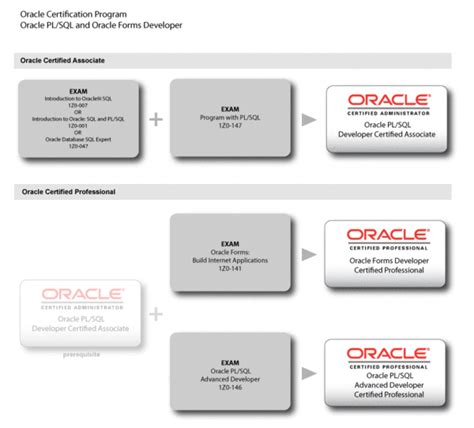 Image result for Oracle Developer Classificaiton