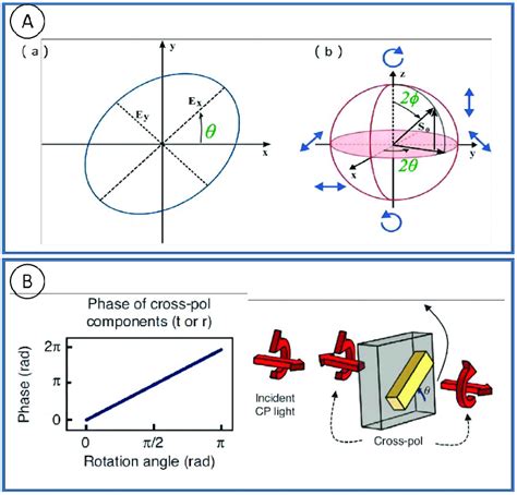 Phase Modulation 的图像结果