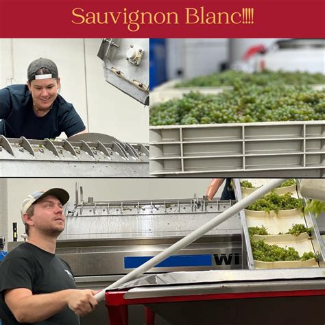 Wood Family Vineyards | For the first time ever, Wood Family is making ...