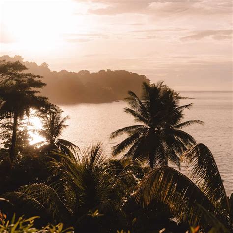 Drake Bay Costa Rica Travel Guide: Remote, Wild & Untouched